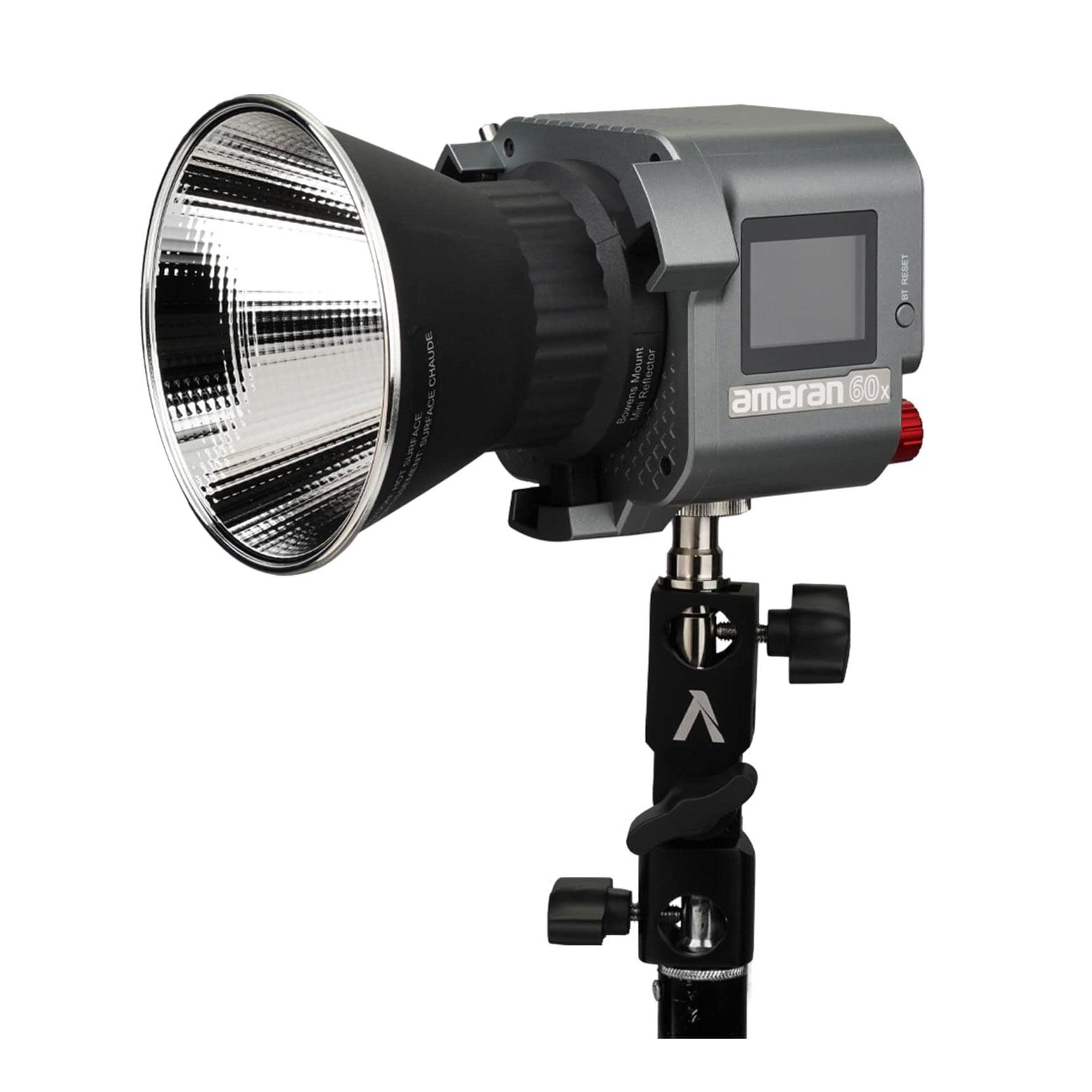 BICOLOR APUTURE AMARAN 60x