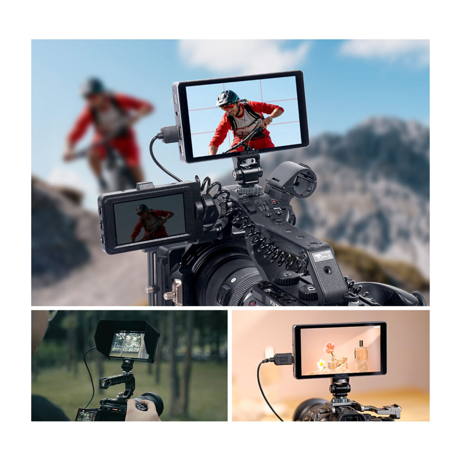 MONITOR P6XL 6