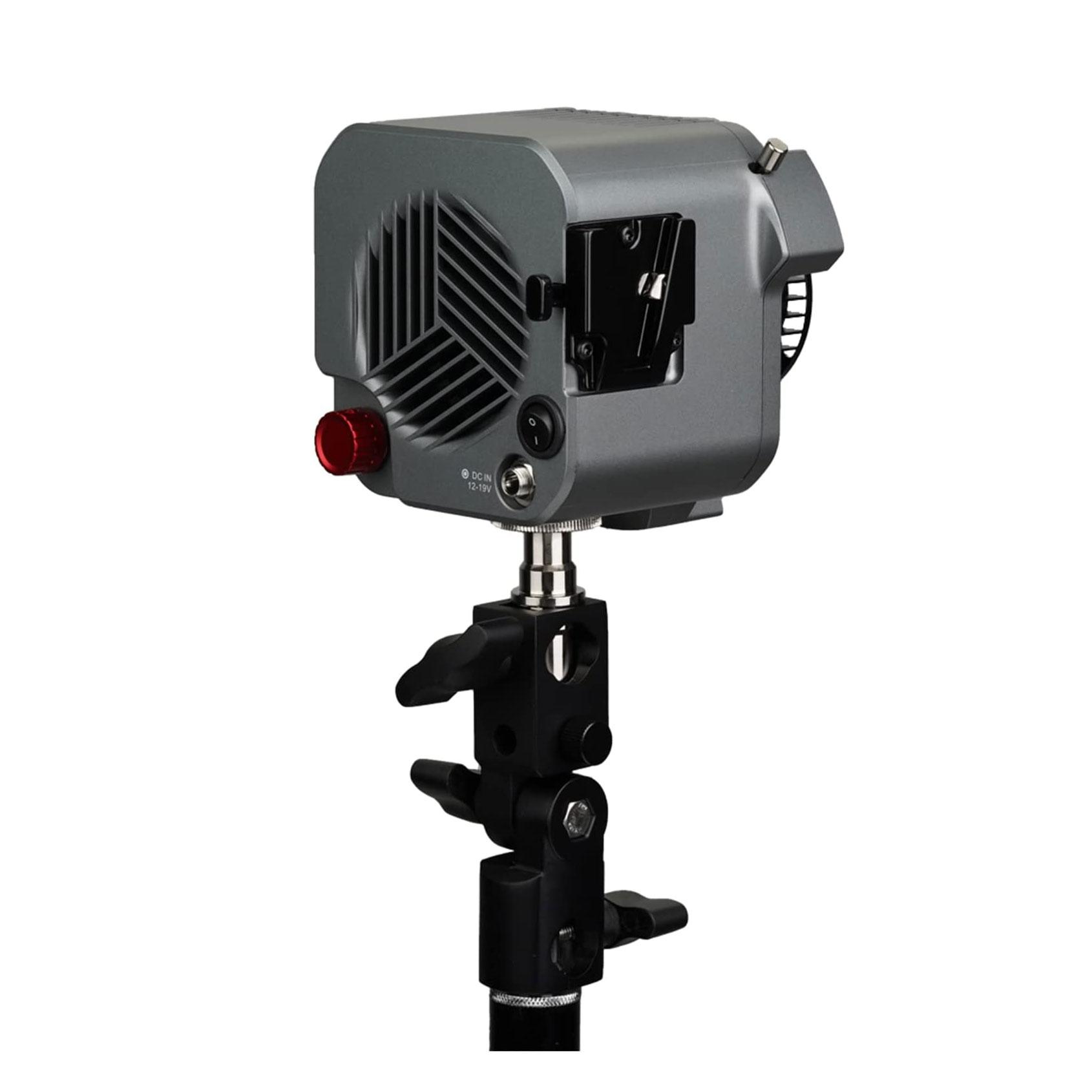 BICOLOR APUTURE AMARAN 60x 5