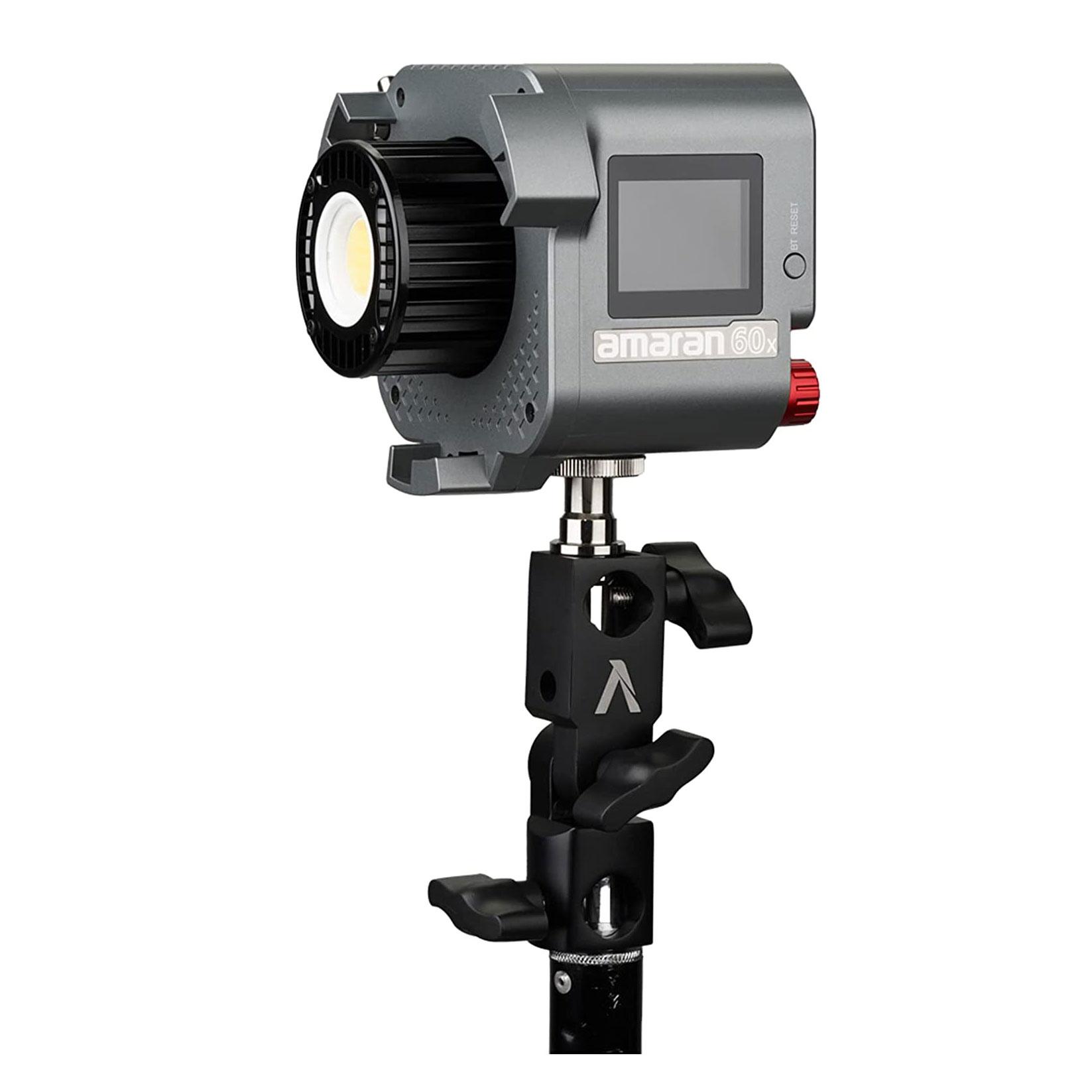 BICOLOR APUTURE AMARAN 60x 4